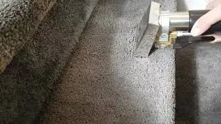 CARPET CLEANING - MANCHESTER UK