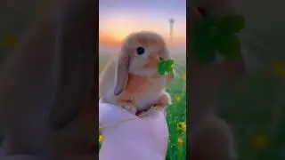 #adorable #pet #pets #ai #funny #fun #cute #interestin.#cuteanimals #funnyvideo #funnyvideo #love
