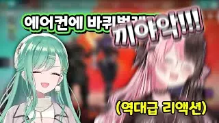 바선생 이야기에 기겁하는 히나노 [타치바나 히나노/야쿠모 베니/이치노세 우루하]