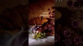 Lutin Errant