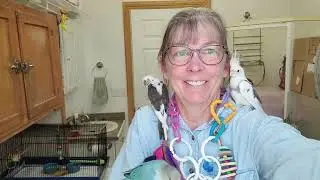 Entertaining your birds & fresh food ideas
