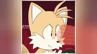 Reason to hide tails Miles prower ft Amy rose 