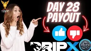 Drip Network Dripx 28 day payout results bullish bearish or neutral