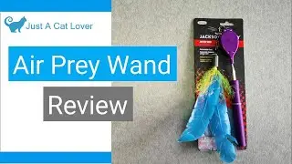 Air Prey Wand by Jackson Galaxy, the cat toy with a rubber feather  | Cat Toys Reviews