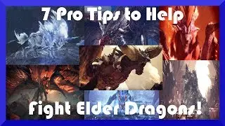 7 Pro Tips to Help Fight Elder Dragons!