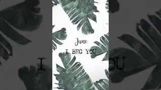 I Beg You - TipTail ❣️