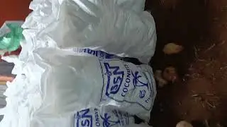 POLLACHI COCONUT EXPORT WHATSAPP 7639007472