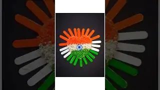 Indian flag 🇮🇳 / Craft with rice and ice cream stick 🇮🇳 / 1 like for India 🇮🇳 #shorts #ytshorts