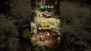 Bougainville 1944-🇳🇿NZ 3rd Division Jungle Ambush#shorts#amazedmode#wwii#pacificawar#bougainvillea