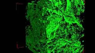 Visualistion of soil pore space