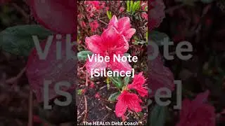 Silence - Vibe Note