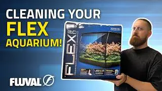 ПРОСТО, КАК 1-2-3 | Обслуживание аквариума Fluval Flex 2.0