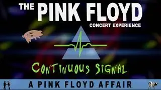 Continuous Signal - A Pink Floyd Affair