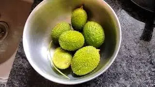 #Funny Recipe &brvbar; Monsoon Special | Kartule ki  Sabzi | Spiny Gourd Recipe with Desi #commentary