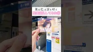 性格良い人しか出てこないアニメの聖地巡礼してきた #薫る花は凛と咲く #アニメ #聖地巡礼