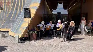 Fly me to the Moon : Dankos Swinging Pack , konsert i Hagaparken vid Koppartälten