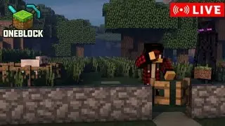 I Lost Everything In My Oneblock World😭