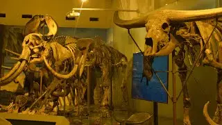 Sehari bersama ssaa&rsquo;s (pergi jalan jalan ke museum geologi bandung) bersama naimada dan zahra