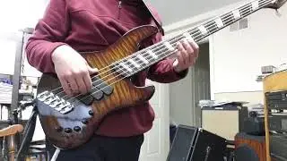 Dingwall Super J 5 with FD3 pickups