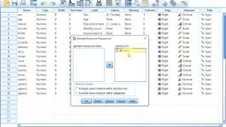 SPSS Tables - Frequency or Cross table of a Multiple Answers question (using Multiple Responses)