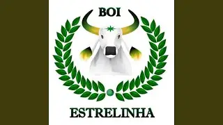 Defensor da Floresta (Ao Vivo)