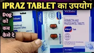 IPRAZ Tablet||Ivermectin & Praziquantel इस टेबलेट का उपयोग Dog 🐕 में इस तरह से करें