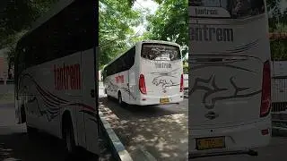 Bus Tentrem MAX 