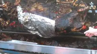 Cow roast