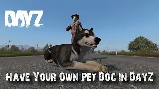 You Can Now Have A Pet Dog In DayZ!!
