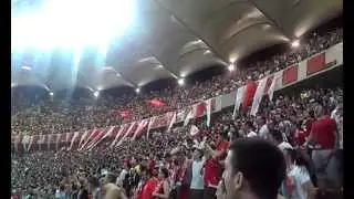 Dinamo Steaua 10.05.2013 Ale Ale Ale ooooo / Galeria Dinamo .......