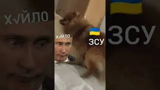 ЗСУ ПІЙМАЛА ПУТІНА #путін #зсу #новости