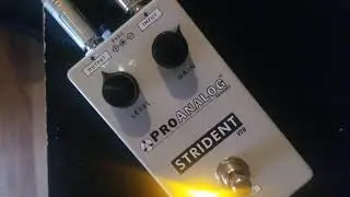 Gato Malo con strident VTB by proanalog devices