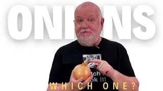 Which Onion Is Best For Your Recipe?