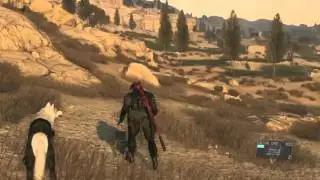 MGS5:TPP Blanford&lsquo;s Fox Location