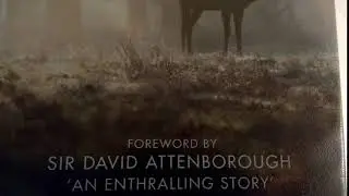 An Enthralling Story