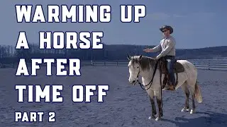 Spring Riding Prep Part 2:  Pre-Ride Checklist and Saddle Work