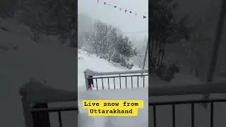 Snowfall in Uttarakhand Live Snow from Dehradun Mussoorie Dhanaulti Chakrata