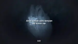 Billie Eilish - CHIHIRO (Türkçe Çeviri)