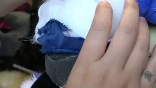 Pocari roo speed build