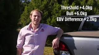 Understanding what the EBV means in real terms