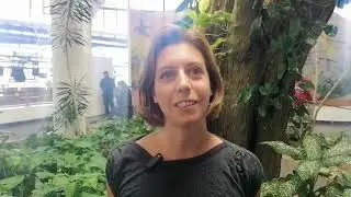 Maurice Info - Atelier de Chant et Musique a l'IFM [21-06-2025]