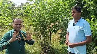 #Biofit Review From Mr. MAHESH SAWANT sir - Vaibhavwadi 27 oct 2024
