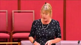 Senator the Hon Lin Thorp - Queensland's anti-rights laws