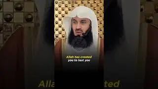 Light of Imaan &ndash; Islamic Guidance - &ldquo;Allah says, I&rsquo;ve created you to test you&rdquo; #shorts #islam