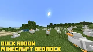 MINECRAFT BEDROCK DUCK ADDON (1.17+)