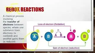 Oxidation Reduction- REDOX and Oxidation in everyday life