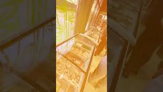 Преміальний пивний магазин з розширеним форматом &laquo;Крокодил BEER SHOP&raquo;