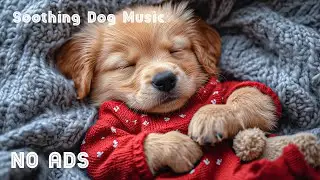 12 часов музыки для успокоения собак 🐶🎅 Релаксация для собак ☃️ Музыка от тревоги разлуки 🎄