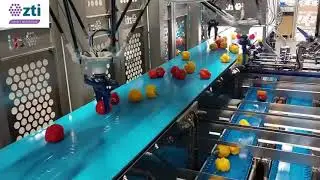 Línea de corte de pimiento completamente autónoma_ZTI SMART MACHINES