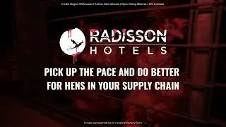 Radisson Hotels Runaround